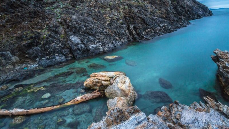 Boat through Cap de Creus and Port Lligat + Visit Cadaqués - Comparing Similar Tours and Options