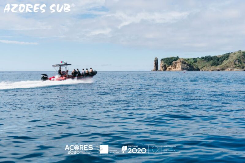 Boat Tour around Vila Franca do Campo Islet in Azores - Birdwatching Opportunities During the Tour