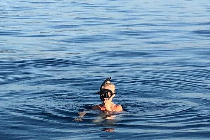 Boat Tour around Zadar Islands with snorkeling during half day excursion - Pricing and Booking: Great Value for a Short Coastal Escape