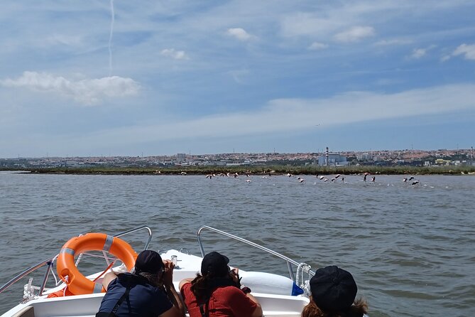 Boat Tour - Bird Observation in the Tejo Nature Reserve - Logistics: Meeting Point, Timing, and Group Size
