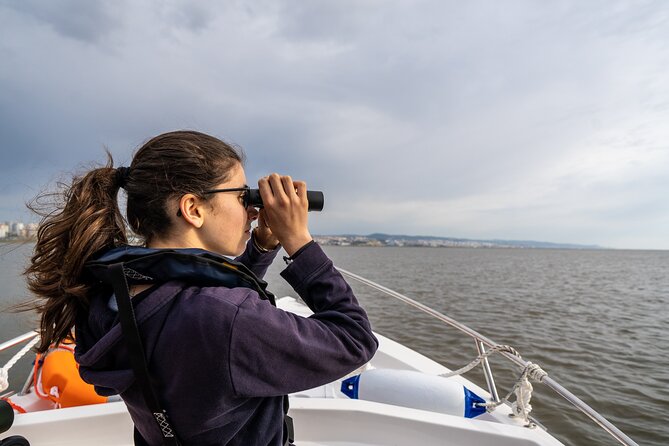 Boat Tour - Bird Observation in the Tejo Nature Reserve - The Scenic Waterway of Lisbon from the Water