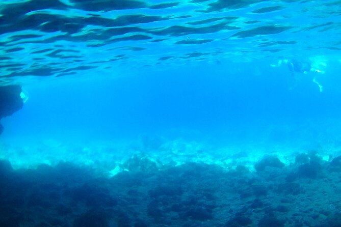 Boat tour Excursion from Trapani to Favignana and Levanzo 8 hours - Key Points