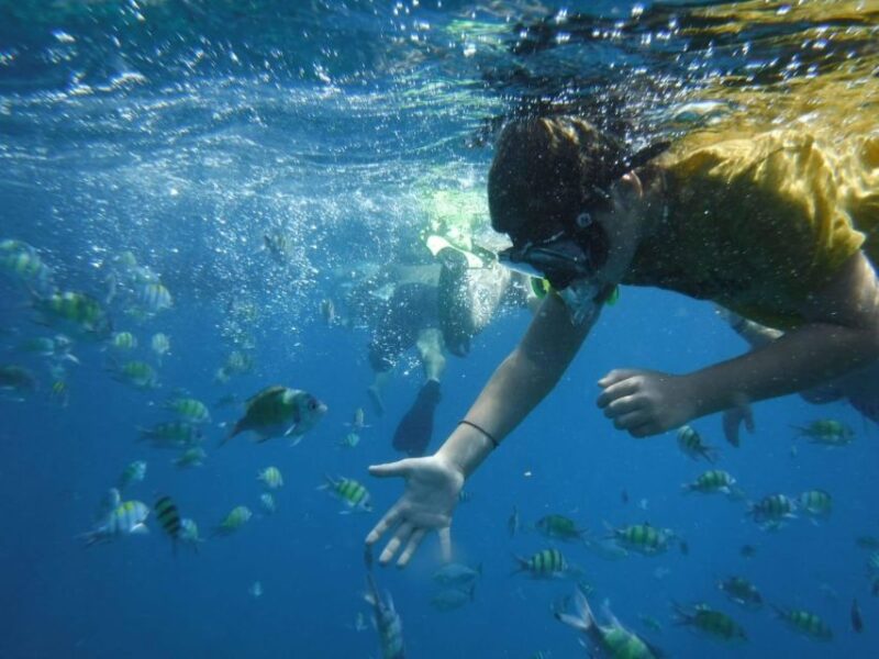 Boat tour from Avola to Portopalo with visit of Marzamemi - Explore Sicily’s Southeastern Coast with a Coastal Boat Tour