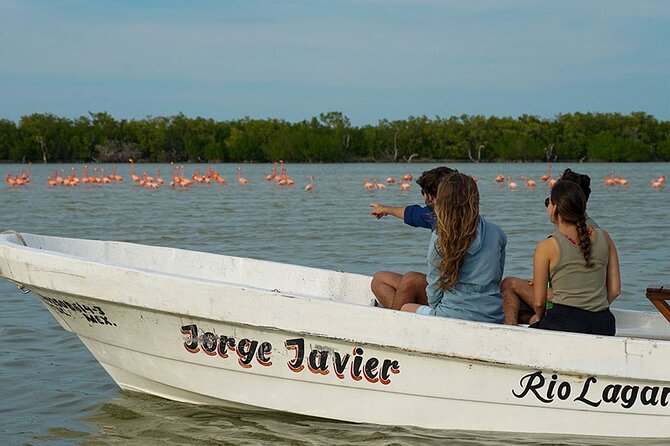 Boat tour in Río Lagartos Natural Reserve, with Food - Starting Point at Hotel Río Lagartos
