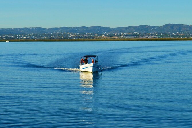 Boat Tour of 2 Ria Formosa Islands: Culatra and Armona - The Professional and Friendly Guide Experience