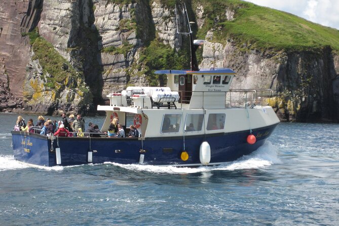 Boat Tour of Dingle Peninsula - Discover the Dingle Peninsula from the Water for an Affordable Price