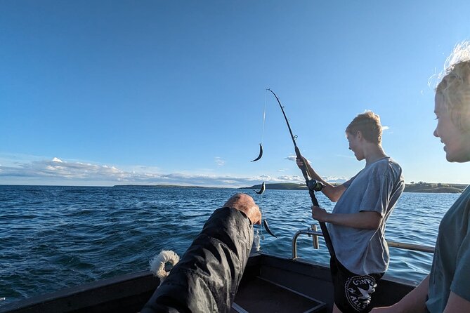 Boat Tour of Kinsale Harbour and Bandon River - Explore Cork’s Coastal Waters on a Private Boat Tour in Kinsale