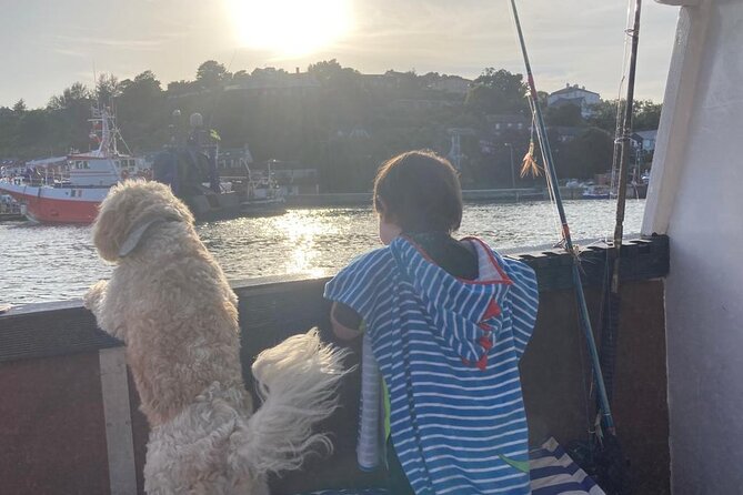 Boat Tour of Kinsale Harbour and Bandon River - Pricing and Booking Insights