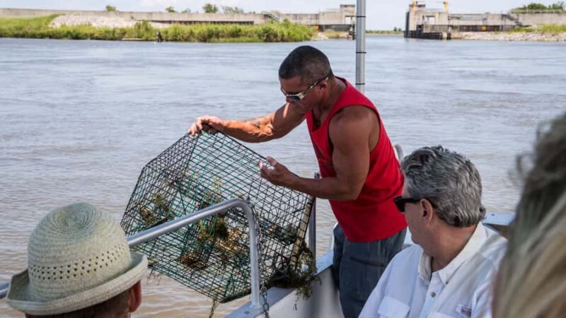 Boat Tour of Louisiana Bayous Near New Orleans - Exploring Southeast Louisiana’s Bayous with a Local Guide