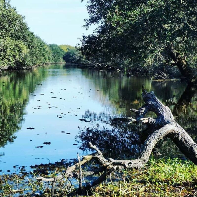 Boat Tour of Louisiana Bayous Near New Orleans - Frequently Asked Questions