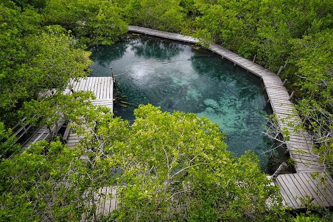 Boat Tour of Three Islands in Holbox with Transportation - Yalahau Lagoon and the Mystical Cenote