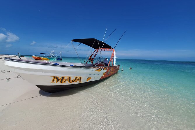 Boat Tour of Three Islands in Holbox with Transportation - Limitations and Considerations