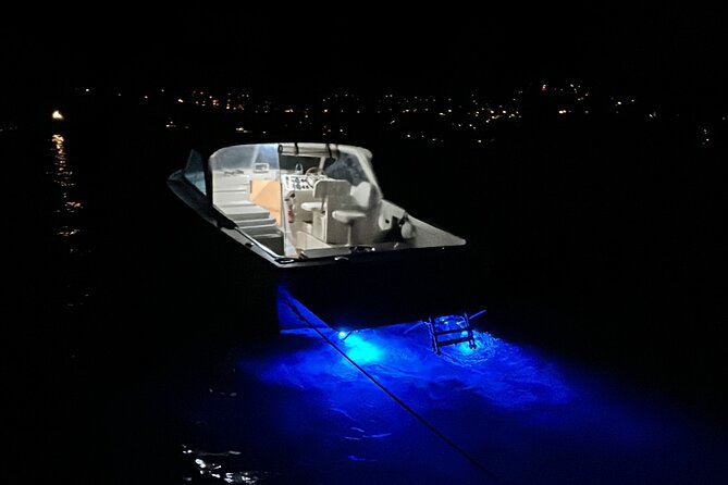 Boat tour on Lake Como 1 hour - Visiting Villa Pliniana: A Luxurious 16th-Century Mansion