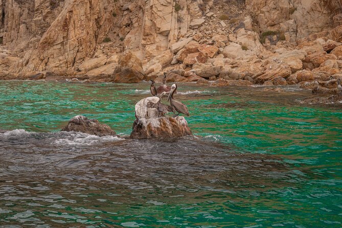 Boat Tour Snorkeling Tour with Guide, Drinks and Fruit - Small Group Experience with Personalized Attention