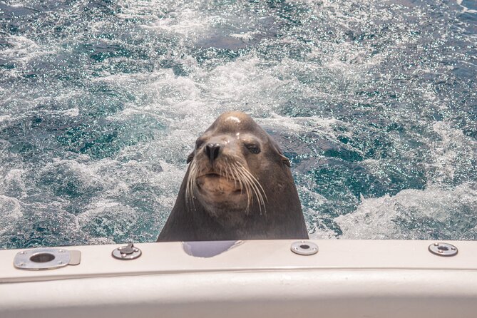 Boat Tour Snorkeling Tour with Guide, Drinks and Fruit - Flexibility and Cancellation Policy