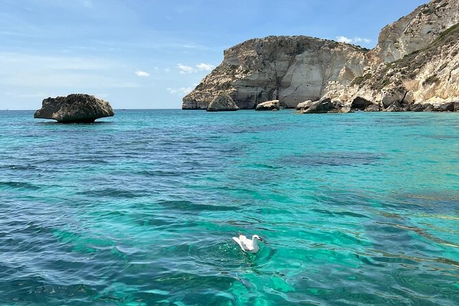 Boat tour the devil's saddle,snorkeling,prosecco and lots of sun - Exploring Cala Bernat’s White Sand Beach and Ravines