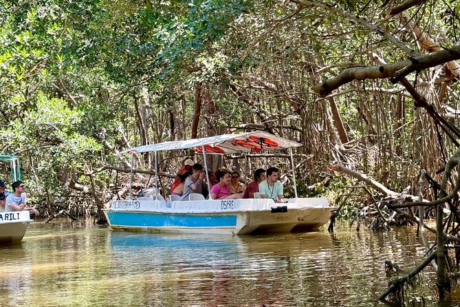 Boat tour through the mangroves of Celestún and Playa from Merida - Relaxing at La Ramada de la Tía Candi Beachfront