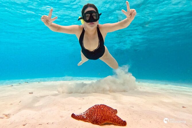 Boat Tour to Heaven in Cozumel with Ceviche - Visiting Palancar and Colombia Reefs: The Best Snorkeling Spots