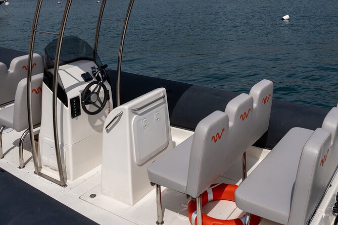 Boat Tour to Portofino and San Fruttuoso for Small Groups - The Skipper and Guide Experience