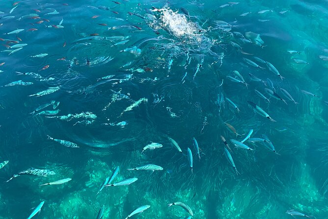 Boat Tour to Procida and Ischia, discover Private Secret Beaches - Meet the Tour: A Small-Group Private Experience from Naples