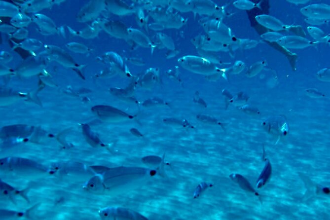 Boat Tour to Sella del Diavolo: Snorkeling, GoPro & Beer - Starting Point at Cagliari Port for Easy Access