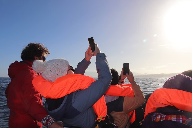 Boat Trip along the North Coast in Capelas - Key Points