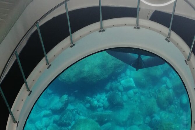 Boat trip along the Northwest Coast of La Palma - The Departure Point and Booking Details