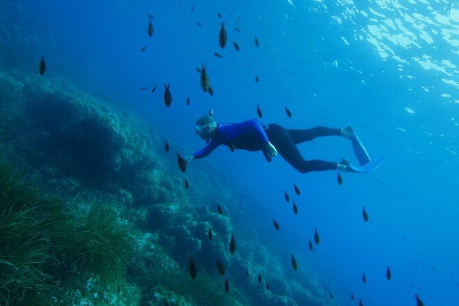 Boat trip and snorkeling in Villefranche - sur - Mer - Snorkeling in Villefranche: Marine Life and Visibility