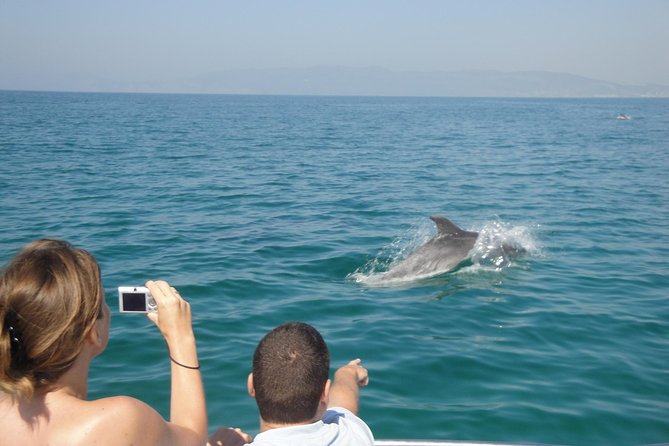 Boat Trip for Dolphin Watching along the Arrabida Coast and Sesimbra - Starting Point in Sesimbra and Departure Time
