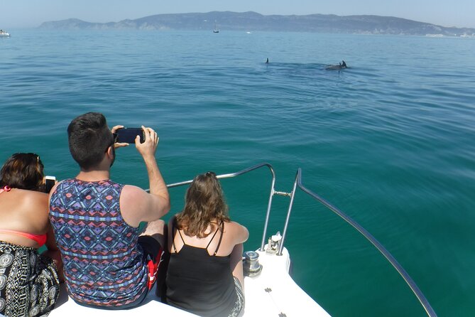 Boat Trip for Dolphin Watching along the Arrabida Coast and Sesimbra - Exploring the Beaches and Caves of Arrabida