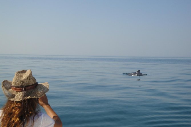 Boat Trip for Dolphin Watching along the Arrabida Coast and Sesimbra - Opportunities for Swimming and Diving