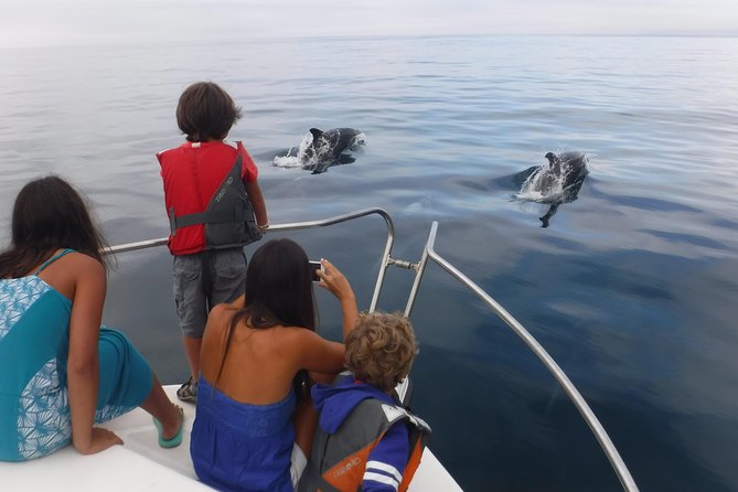 Boat Trip for Dolphin Watching along the Arrabida Coast and Sesimbra - Group Size and Personal Attention