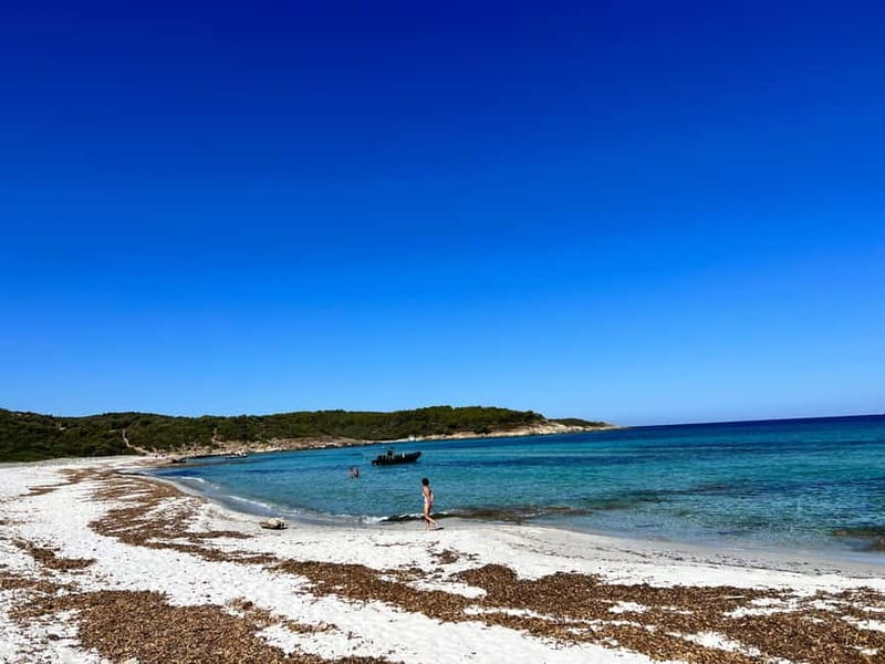 Boat trip from Calvi to the Agriate Desert - Key Points