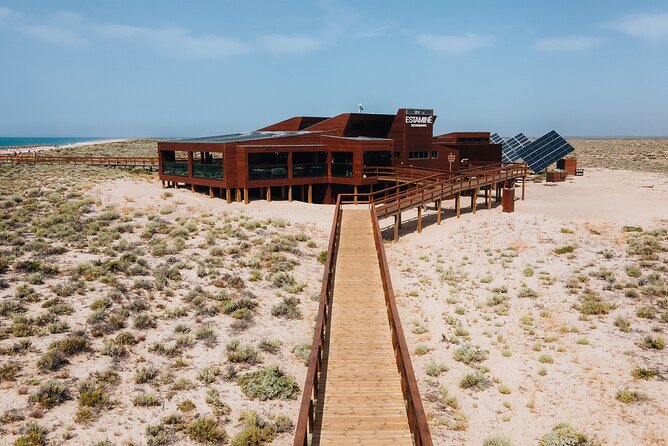 Boat trip from Faro to Ilha Deserta by Ferry - Final Thoughts on the Faro to Ilha Deserta Ferry Tour