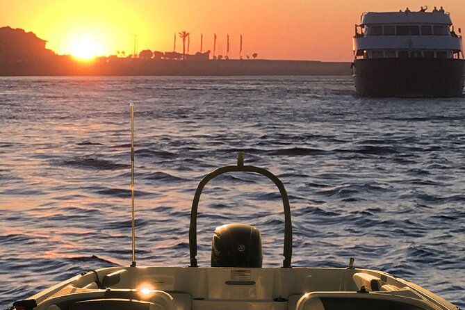 Boat Trip in Douro Porto - Exploring Porto’s Iconic Bridges from the Water