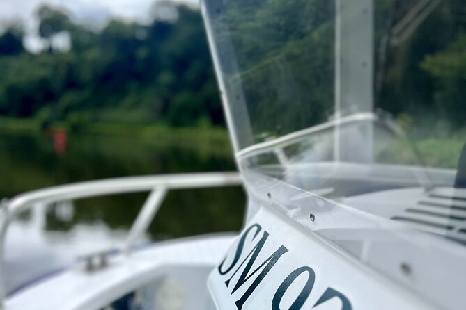 Boat trip on the Rance Canal - The Old Port of Dinan: A Half Tour Viewpoint