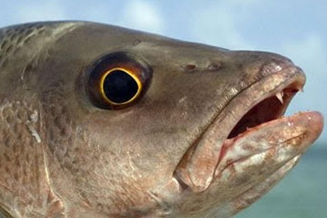 Boca Raton Inshore Fishing Trip - Exploring the Stops: Scenic and Practical