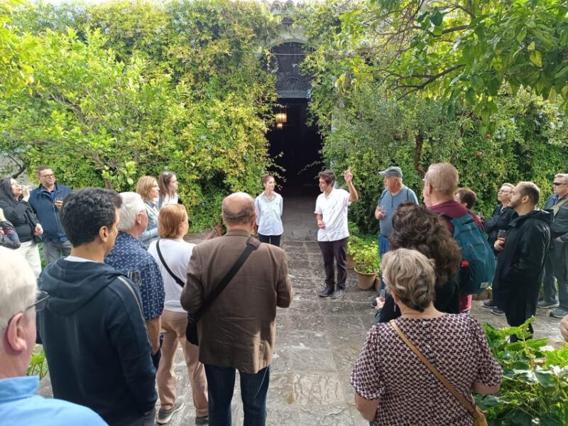 Bodega Halcón Winery Tour with Wine Tasting South of Seville - Discovering Lebrija’s Wine Heritage at Bodegas Halcón