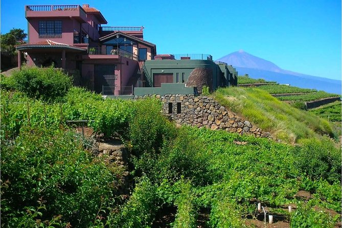 Bodegas Monje Winery Ticket w/Wine Tasting & Mojo Sauce Workshop - Tasting the Wines and Food: A Complete Flavour Experience