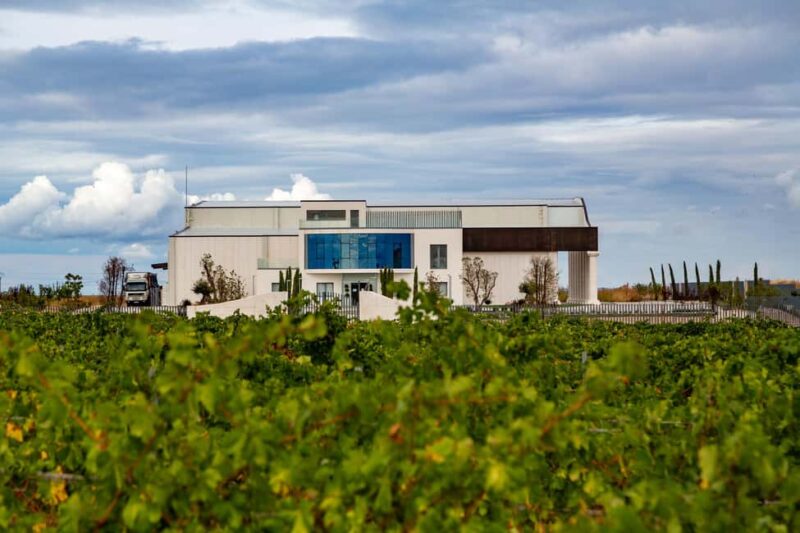 BODEGAS PANDORA: tour through vineyards and winery with wine tasting. - Discover BODEGAS PANDORA: Vineyards, Winemaking, and Tasting in Rueda