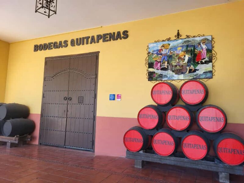 Bodegas Quitapenas: Guided Visit + Wine Tasting - Discover the Historic Roots of Bodegas Quitapenas