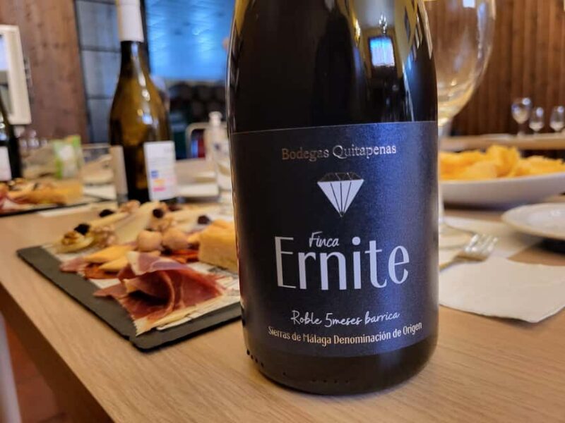 Bodegas Quitapenas: Guided Visit + Wine Tasting - Comparisons with Similar Wine Experiences in Malaga