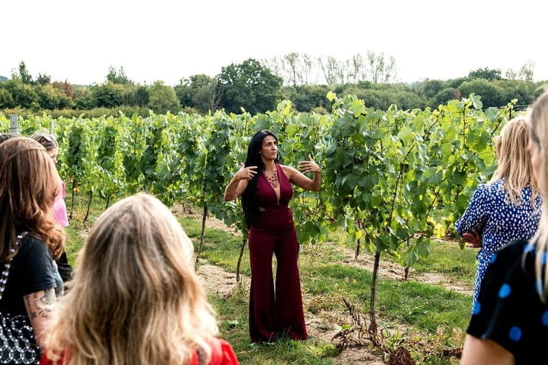 Bodiam: Vineyard Tour and Wine Tasting Experience - Exploring Bodiams Vineyard and Winemaking Techniques