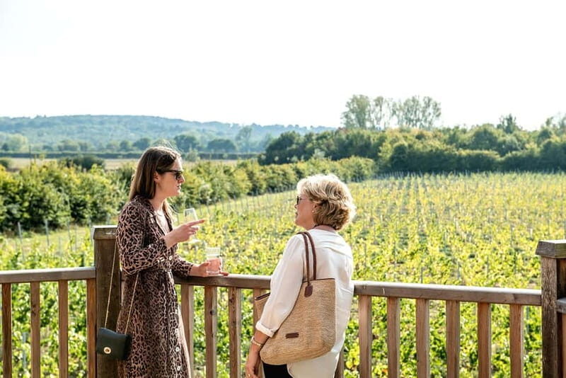 Bodiam: Vineyard Tour and Wine Tasting Experience - Booking, Cancellation, and Additional Costs