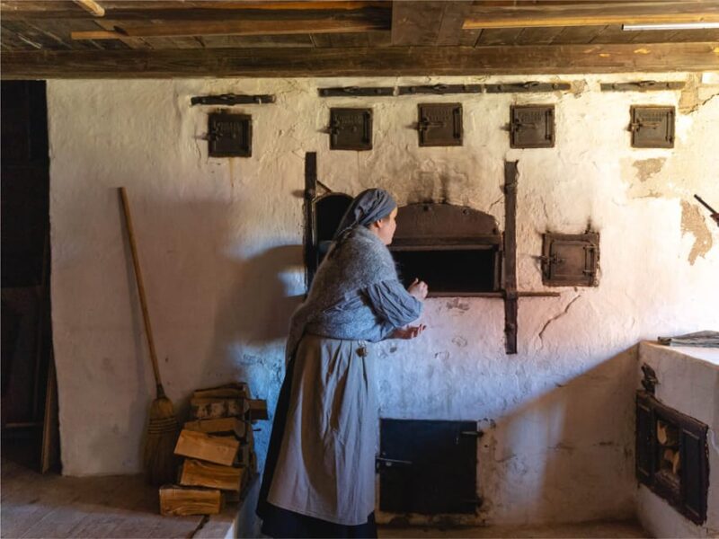 Bodø: Kjerringøy & Silent Coastal Cruise - Key Points