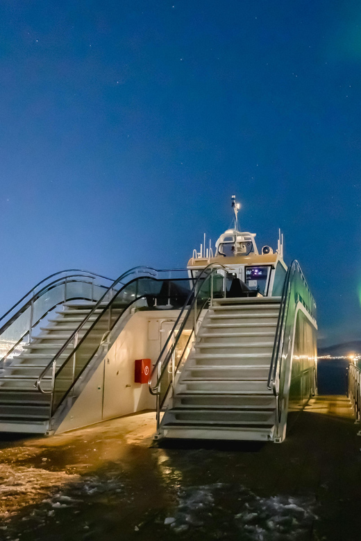 Bodø: Northern Lights Cruise - Key Points