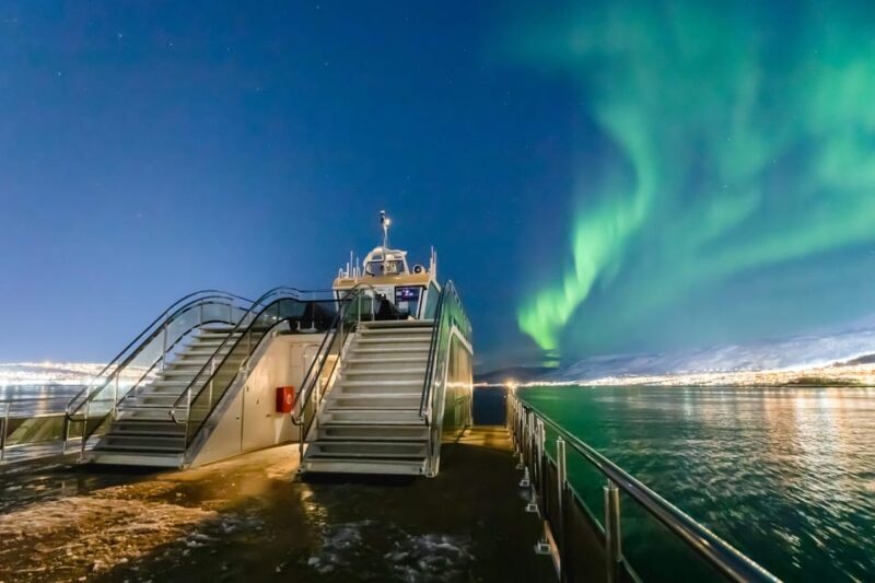 Bodø: Northern Lights Cruise - Why Choose This Northern Lights Cruise from Bodø?