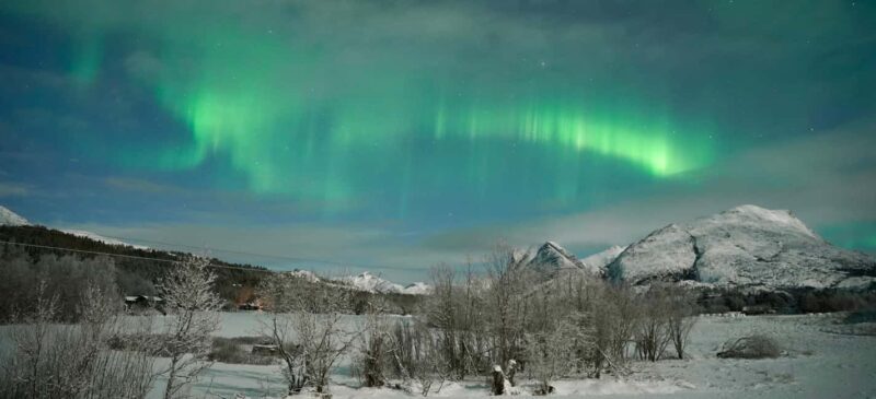 BODØ: Northern Lights Hunt with Guide - Small Group - Flexibility and Weather Dependence of the Tour