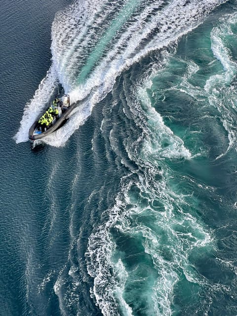 Bodø: Saltstraumen RIB Safari - Saltstraumen: The World’s Strongest Tidal Current