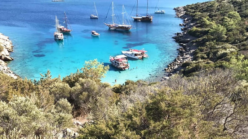 Bodrum: Boat Tour for Mein Schiff Cruise Passengers - Visiting Four Bays and Coveted Coves